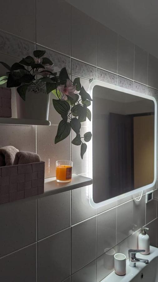 Apartament La Terrazza Del Re Vercelli Zewnętrze zdjęcie